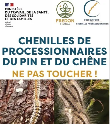 Lire la suite de l'actualité ATTENTION      aux chenilles processionnaires